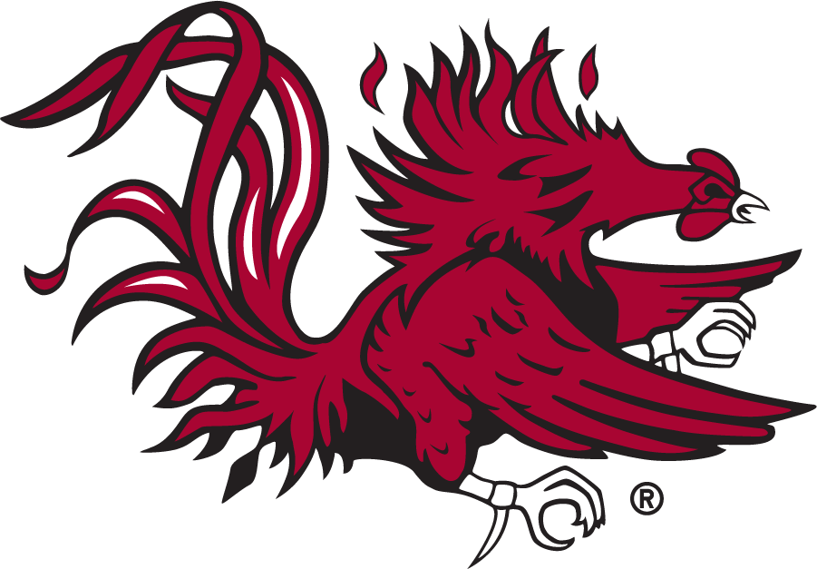 South Carolina Gamecocks 1966-2008 Secondary Logo diy DTF decal sticker